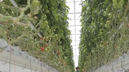 可控核聚變 從“人造太陽”到未來能源的漫漫長(zhǎng)路